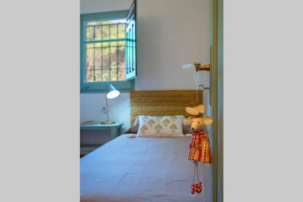 Casa Rural Mas Del Gall - Casa Nova, Barcelona Villa Тордера Екстериор снимка